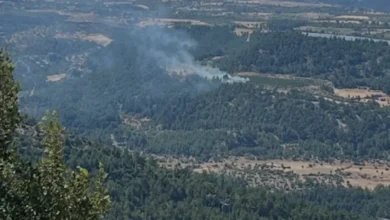 Mersin Gülnar İlçesindeki Orman Yangını Kontrol Altına Alındı