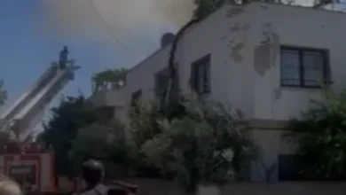 Osmaniye'de çatı yangını bir yaralı ve yedi güvercinin ölümüyle sonuçlandı