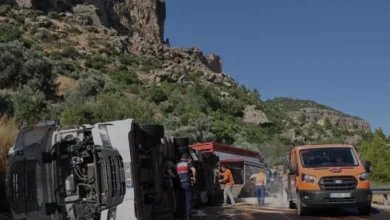 Silifke Mut yolunda tır kazası 62 angus taşıyan araç devrildi