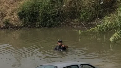Adana Ceyhan Nehrine Düşen Otomobilin Sürücüsü Sağ Kurtuldu