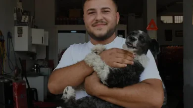 Adana'da Boğazına Cisim Kaçan Köpeği Esnaf Kurtardı