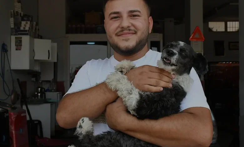 Adana'da Boğazına Cisim Kaçan Köpeği Esnaf Kurtardı
