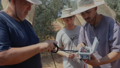 Adanalı Hekimlerden Zeytin Bahçelerinde Yapay Zeka Devrimi