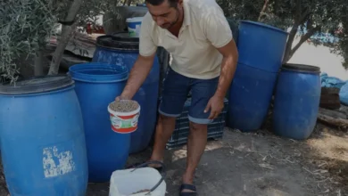 Adanalı Üretici Bakanlık Desteğiyle Besiciliğe Geri Döndü