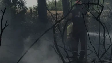Alanya Obaalacami Mahallesinde Yıldırım Kaynaklı Orman Yangını