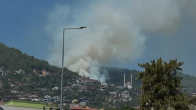 Alanya Orman Yangını Havadan ve Karadan Müdahaleyle Söndürüldü