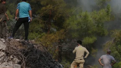Alanya Tepe Mahallesindeki Orman Yangını Söndürüldü