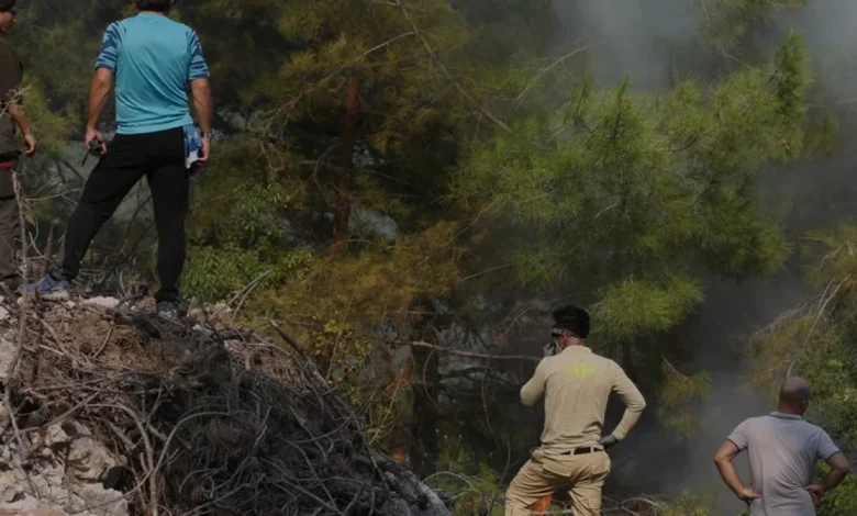 Alanya Tepe Mahallesindeki Orman Yangını Söndürüldü