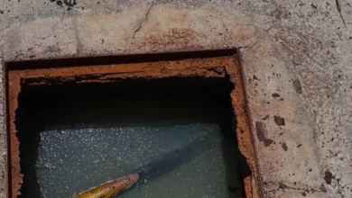 Alanya'da Hacet Deresine Atık Su Deşarjına Yasal İşlem