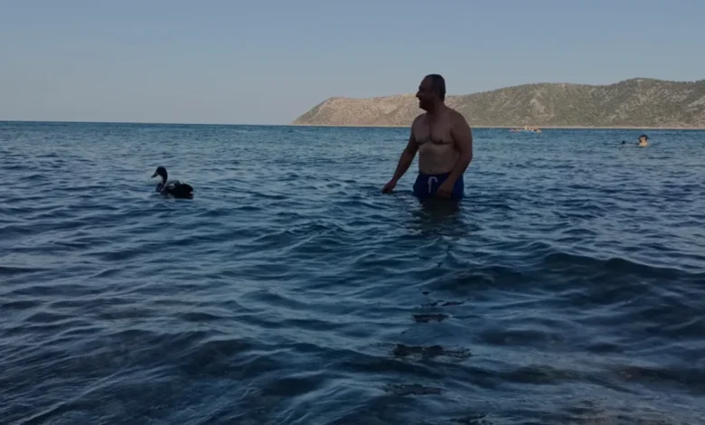 Ankaralı Rahmi Demirtaş ve Ördeği Moli Akdeniz Tatilinde