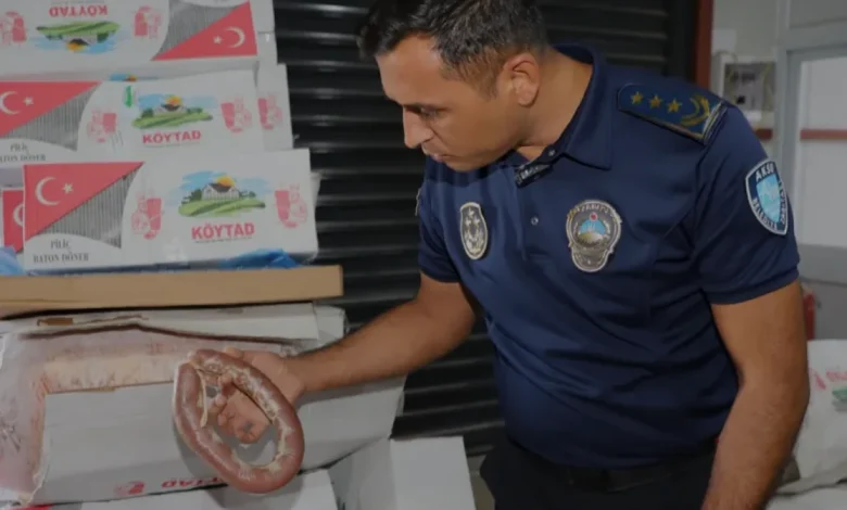 Antalya Aksuda Bir Ton Bozuk Gıda Maddesi İmha Edildi