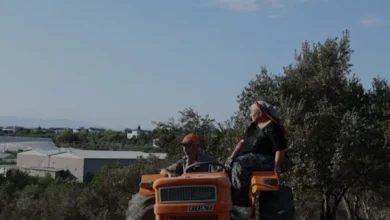 Antalya Aksu'da Zirai Alanda Başlayan Yangın Ormana Sıçradı