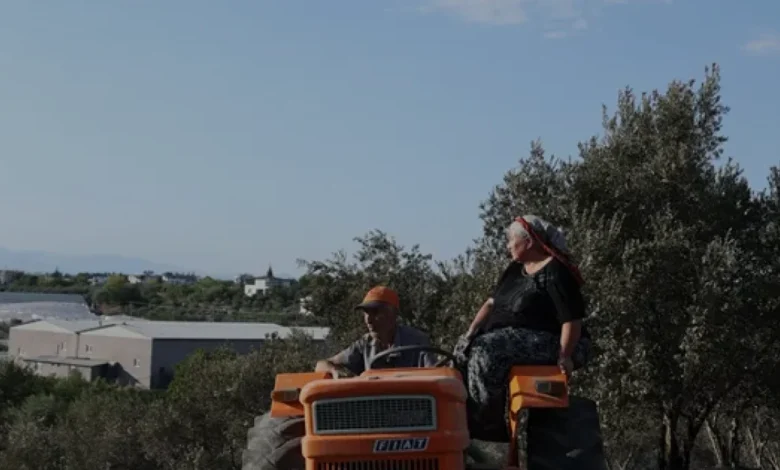 Antalya Aksu'da Zirai Alanda Başlayan Yangın Ormana Sıçradı