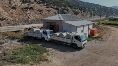 Antalya Büyükşehir Belediyesi Süt Üreticisine 70 Milyon Lira Kazandırdı