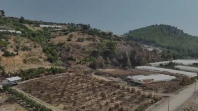Antalya Büyükşehir Belediyesi Yangınzede Üreticilere Destek Oldu