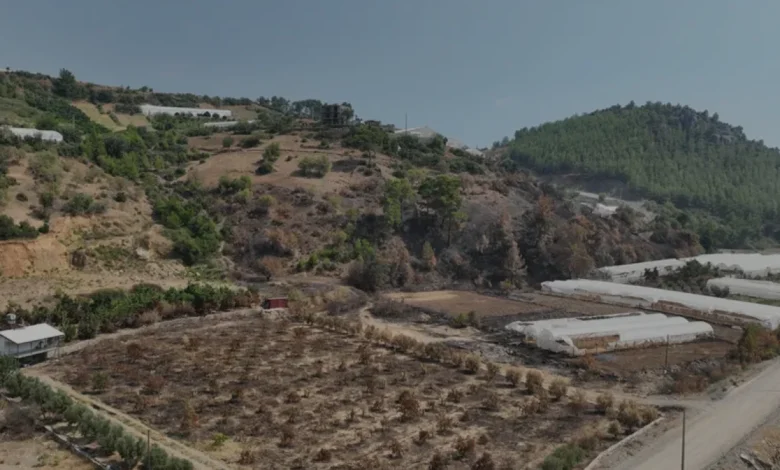 Antalya Büyükşehir Belediyesi Yangınzede Üreticilere Destek Oldu