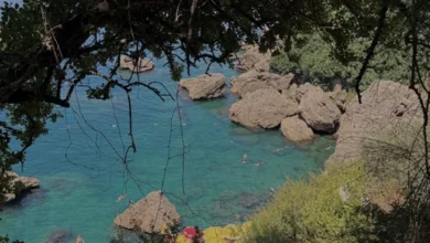 Antalya Falez Plajları Mavi Bayraklı Doğal Deneyimiyle Büyülüyor