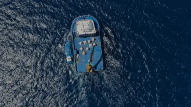 Antalya Finike Kıyılarında 50 Yapay Resif Denize İndirildi