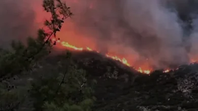 Antalya Kaş Orman Yangınına Havadan ve Karadan Müdahale