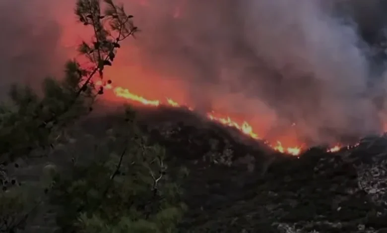 Antalya Kaş Orman Yangınına Havadan ve Karadan Müdahale