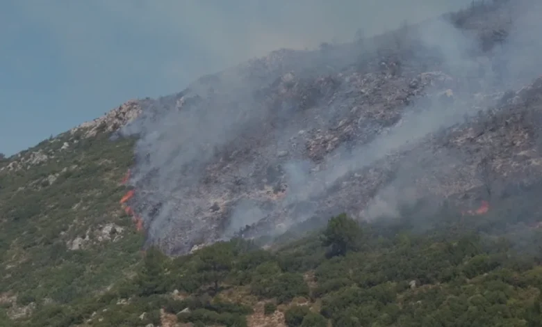 Antalya Kaş Orman Yangınında Müdahale Çalışmaları Sürüyor