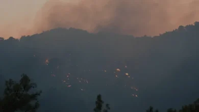 Antalya Kemer Orman Yangınına Karadan Müdahale Sürüyor