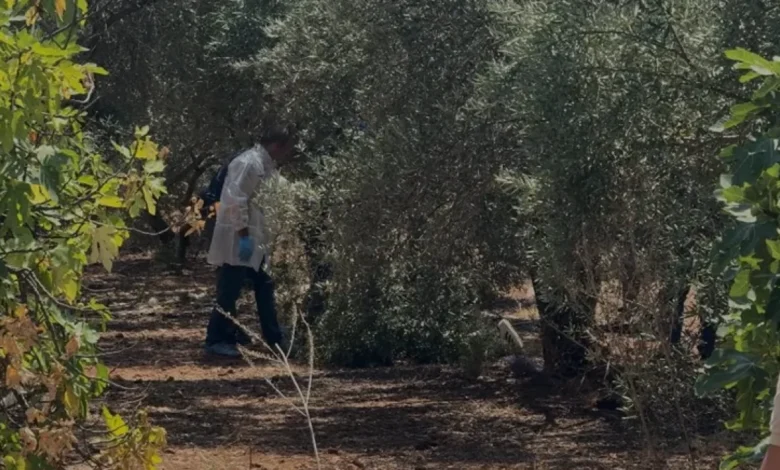 Antalya Kepezde Zeytinlik Alanda Cansız Beden Bulundu
