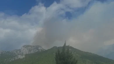 Antalya Manavgat Orman Yangınına Yoğun Müdahale