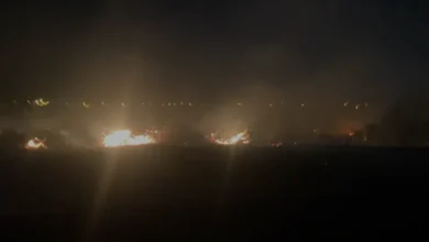 Antalya Serik'te çıkan makilik yangını kontrol altına alındı