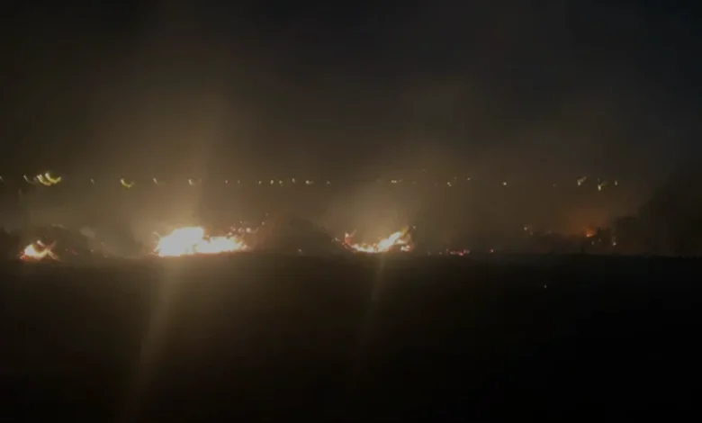 Antalya Serik'te çıkan makilik yangını kontrol altına alındı