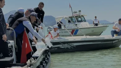 Eğirdir Gölü ekosistemine 100 bin yavru sazan takviyesi yapıldı