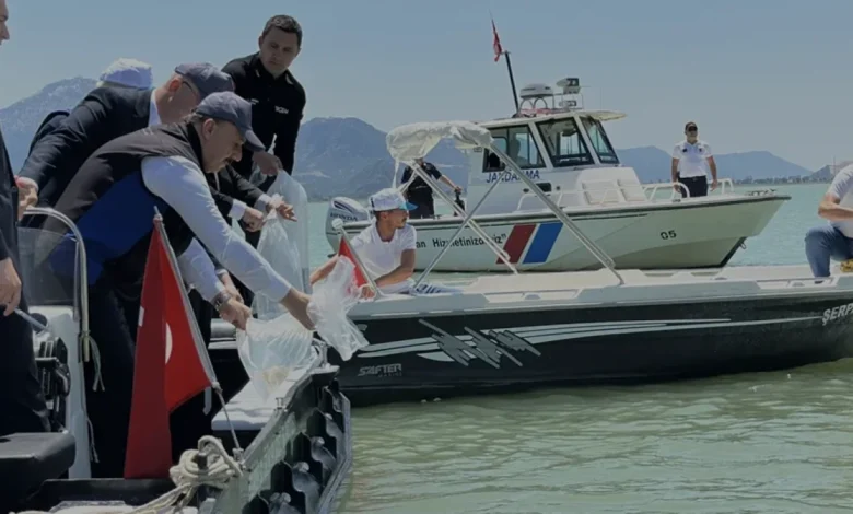 Eğirdir Gölü ekosistemine 100 bin yavru sazan takviyesi yapıldı