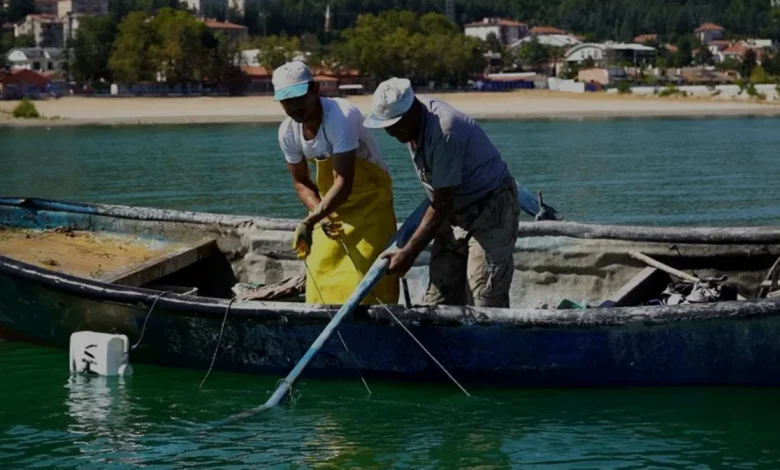 Eğirdir Gölünde Kerevit Av Sezonu Devam Ediyor