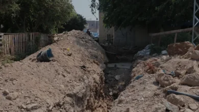 Hatay Reyhanlı'daki Altyapı Kazısında Tarihi Mozaik Kalıntıları Çıktı