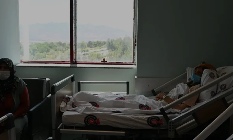 Kadavradan Böbrek Nakliyle Sağlığına Kavuştu