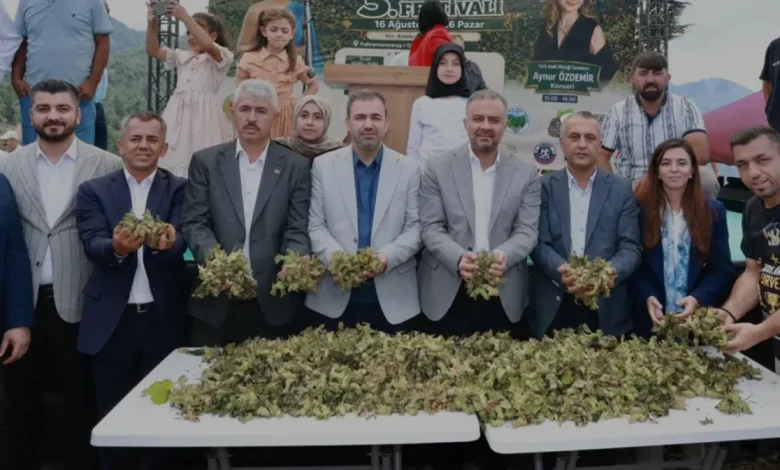 Kahramanmaraş Kalekaya Mahallesinde Fındık Hasadı Festivali
