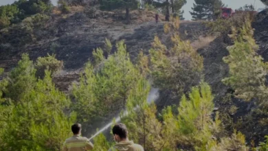 Kahramanmaraş Onikişubat İlçesindeki Orman Yangını Söndürüldü