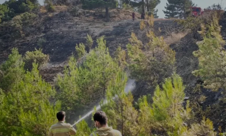Kahramanmaraş Onikişubat İlçesindeki Orman Yangını Söndürüldü