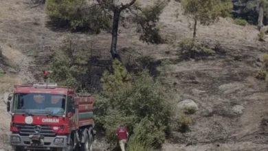 Kahramanmaraş Onikişubat Ormanlık Alanında Yangın Kontrol Altında
