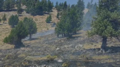 Kahramanmaraş Türkoğlu ve Göksun Orman Yangınları Söndürüldü