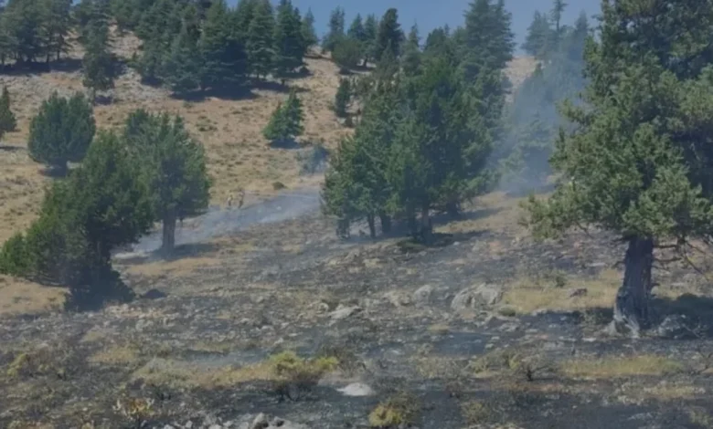 Kahramanmaraş Türkoğlu ve Göksun Orman Yangınları Söndürüldü