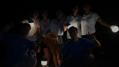 Manavgat sahilinde 10 bin caretta caretta yavrusu denize ulaştı