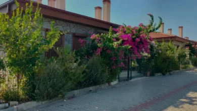 Manavgat Yangını Sonrası Bölgede Hayat Yeniden Normale Döndü