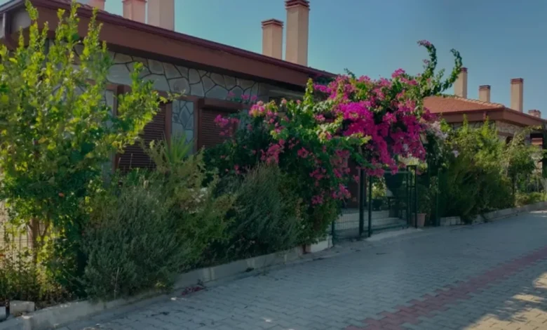 Manavgat Yangını Sonrası Bölgede Hayat Yeniden Normale Döndü