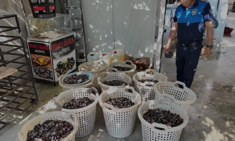 Mersin Akdeniz'de Sağlıksız Koşullarda Üretilen 200 Kilogram Midye İmha Edildi