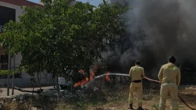 Mersin Erdemli'de Park Halindeki Cip Alevlere Teslim Oldu
