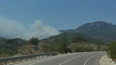 Mersin Mut İlçesindeki Orman Yangını Kontrol Altına Alındı