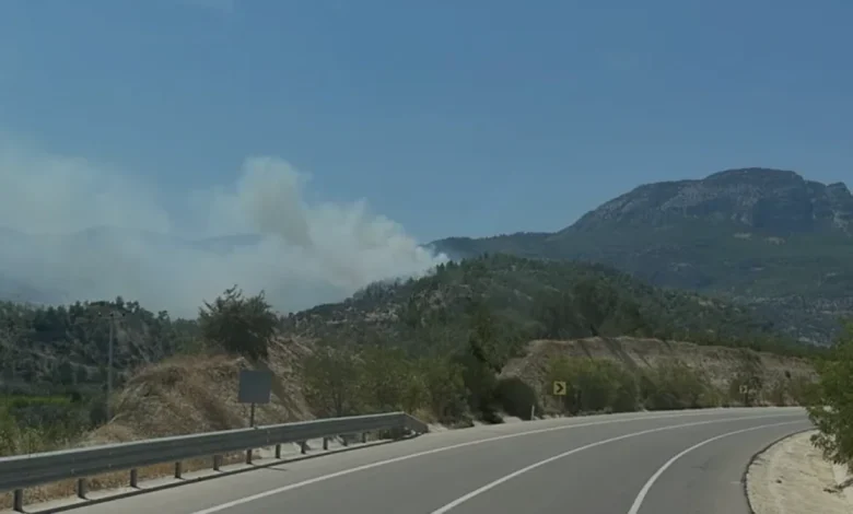 Mersin Mut İlçesindeki Orman Yangını Kontrol Altına Alındı