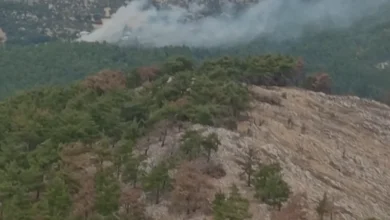 Mersin Silifke ve Anamur Orman Yangınları Kontrol Altına Alındı