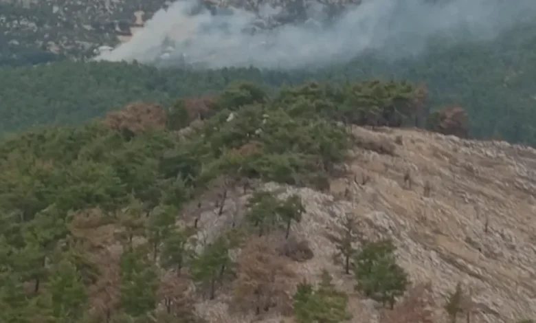 Mersin Silifke ve Anamur Orman Yangınları Kontrol Altına Alındı